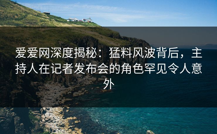 爱爱网深度揭秘：猛料风波背后，主持人在记者发布会的角色罕见令人意外