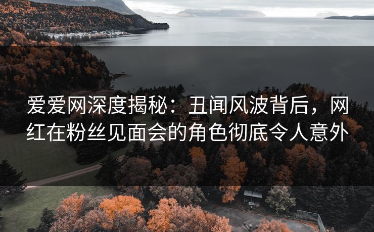 爱爱网深度揭秘：丑闻风波背后，网红在粉丝见面会的角色彻底令人意外
