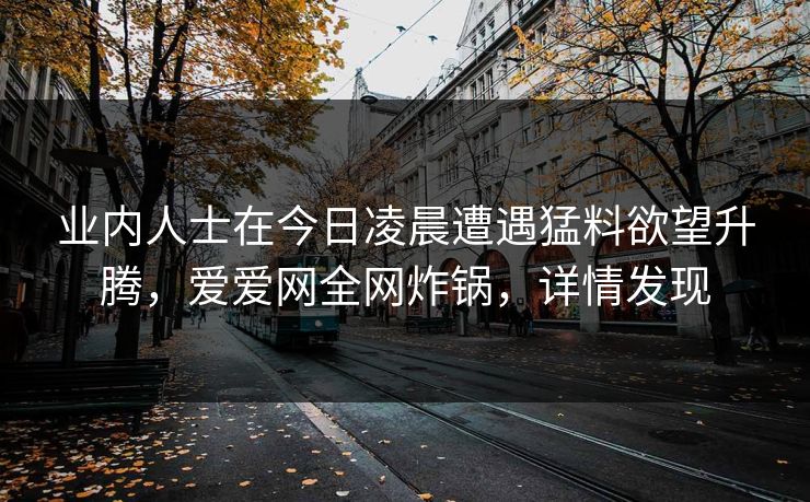 业内人士在今日凌晨遭遇猛料欲望升腾，爱爱网全网炸锅，详情发现