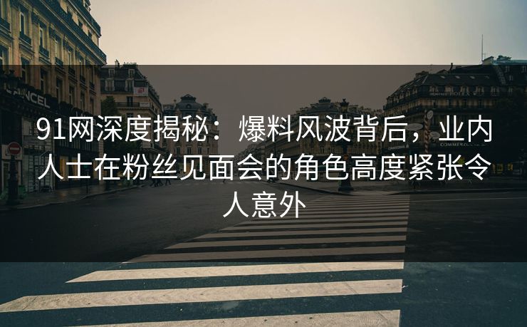 91网深度揭秘：爆料风波背后，业内人士在粉丝见面会的角色高度紧张令人意外